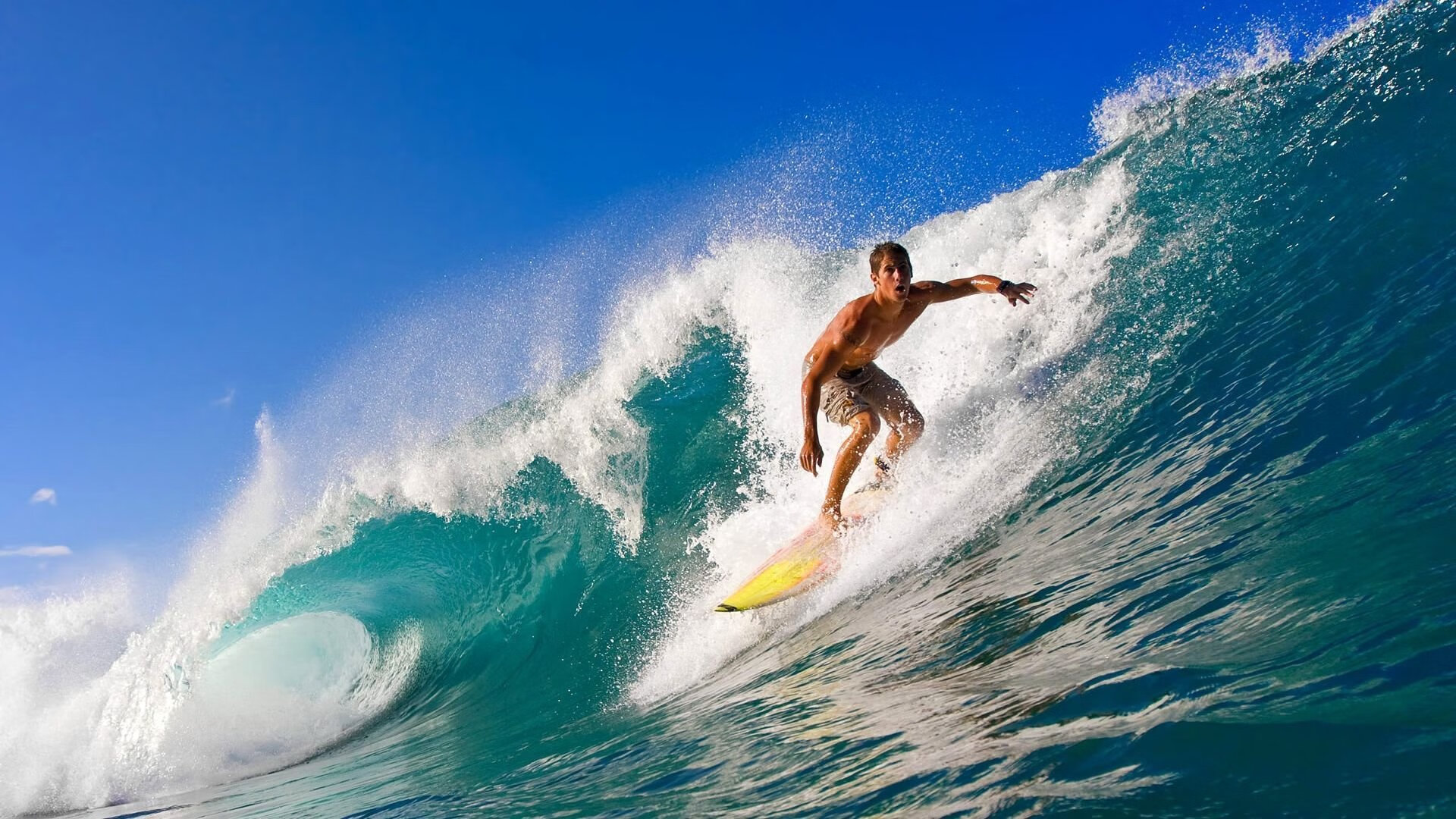 史上最经典的“单场得分”：谁的表现无人能敌？，单场获胜